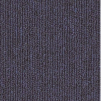 XN07 - كنج أزرق غامق